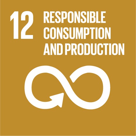 United Nations Sustainable Development Goal 11: Sustainable Cities and Communities