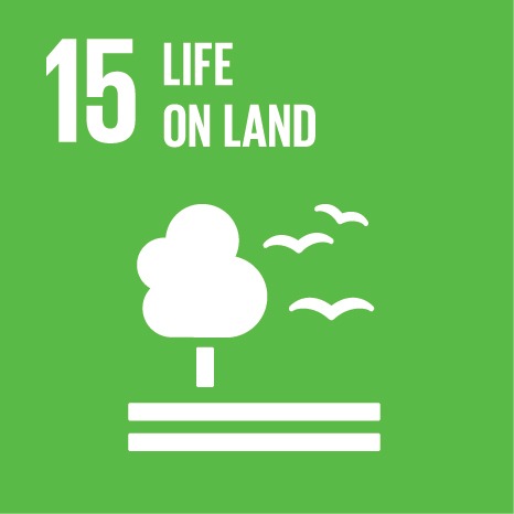 United Nations Sustainable Development Goal 15: Life on Land