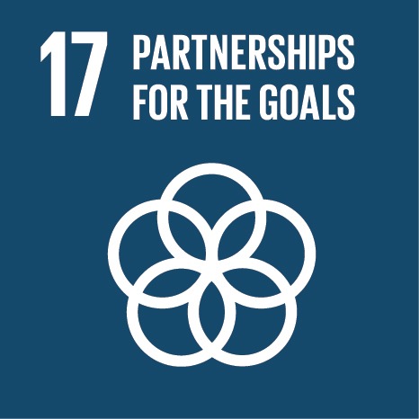 United Nations Sustainable Development Goal 17: Partnerships for the Goals